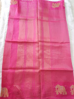 Pink Tissue Saree with Elephant Zari Border Online